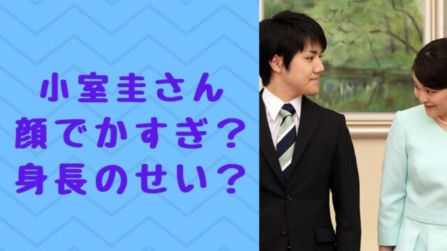 小室圭の顔がでかい 身長が低いから大きくみえる 眞子様と画像で比較 ソロモンnews