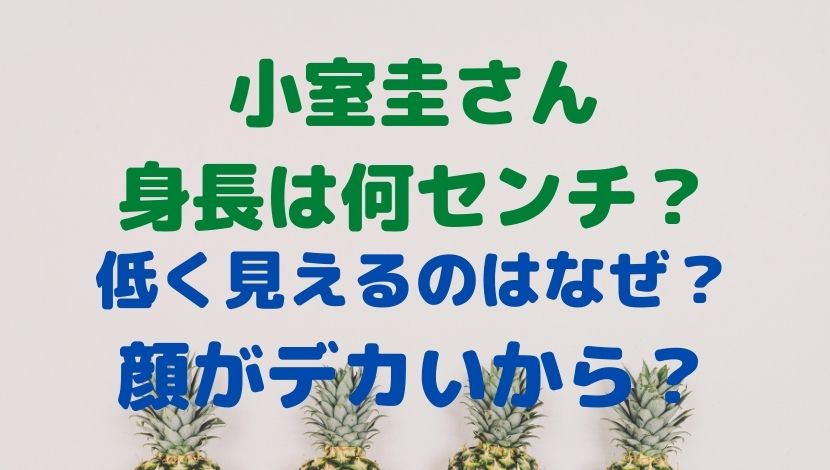 小室圭の身長が低く見えるのは顔が大きいから デカすぎとも話題に Rioの日々 気になるコト