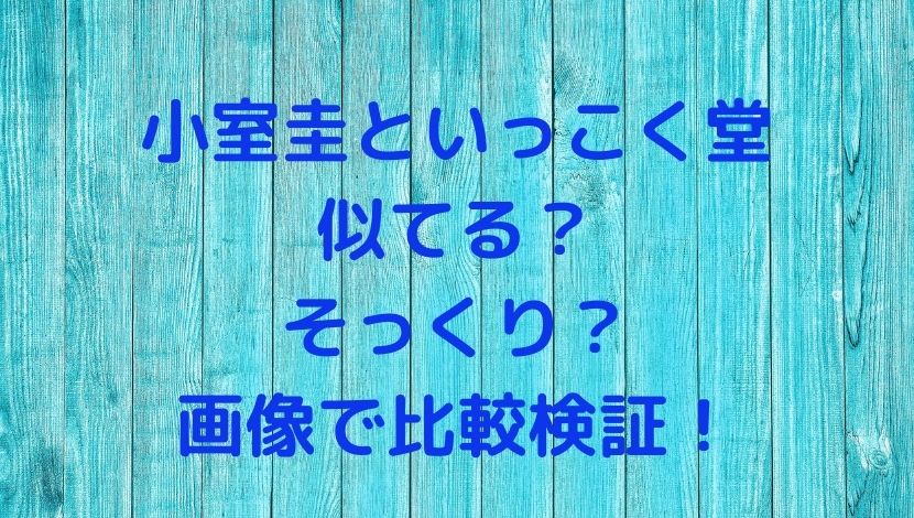 画像 小室圭といっこく堂が似てると話題に 実際に徹底比較検証 ソロモンnews