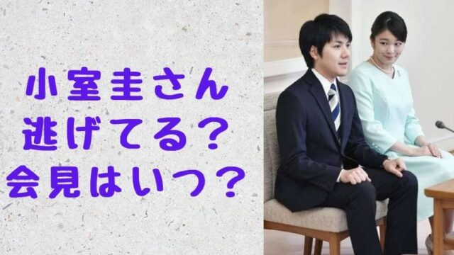 小室圭さん まさかの借金踏み倒しで堂々と結婚発表 Xデーは秋篠宮様誕生日 ソロモンnews