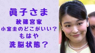 小室圭氏のアメリカでの評判は 駆け落ち婚といわれる海外の反応についても ソロモンnews