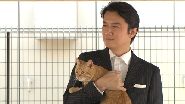 福山雅治は猫を飼ってる 里親 保護猫2匹の名前はオレとトラでcdデビューも ソロモンnews