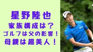 星野陸也 家族構成