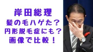 kishida-fuio