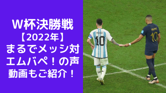 W杯決勝戦 【2022年】 まるでメッシ対エムバペ！の声 動画もご紹介！