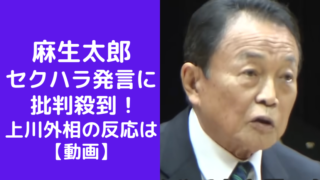 麻生太郎 セクハラ発言に 批判殺到で 引退しろの声も 【動画】 (1)