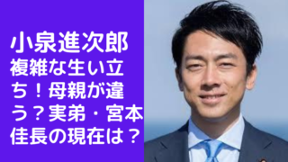 小泉進次郎の複雑な生い立ち！母親が違う？実弟・宮本佳永の現在は？